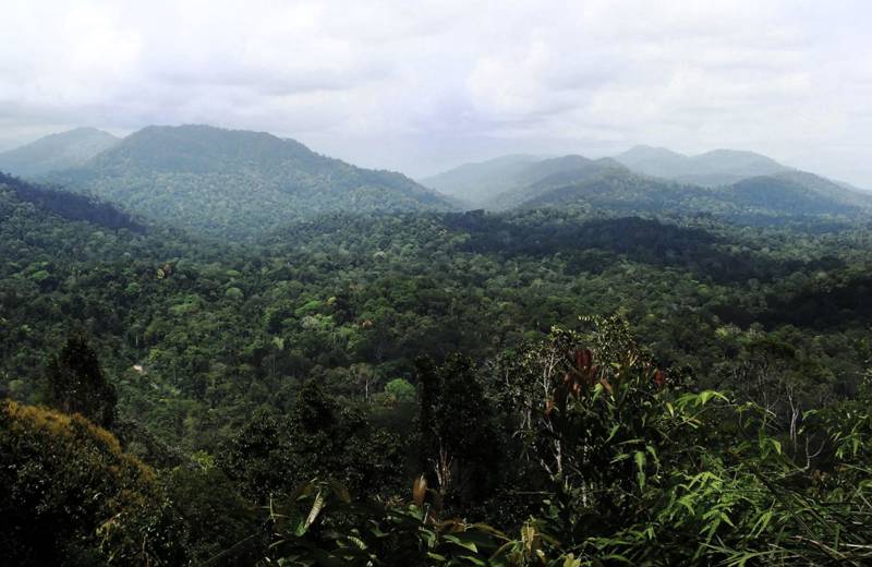 The 8 best activities in Malaysia | Backpacking Malaysia | KILROY