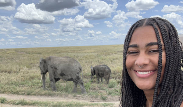 Dominique With Elephants In Tanzania Landscape