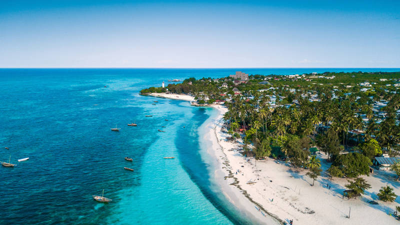 Image of Zanzibar island with a palm-lined beach and turquoise waters - KILROY